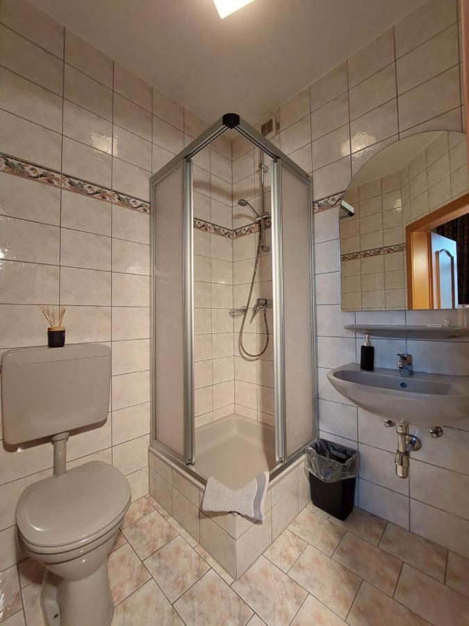 3 Raben - Leoben - Zimmer Fuer Geschaeftsreisende, Urlauber, Monteure Und Handwerker, Polski Pensjonat Austria Экстерьер фото