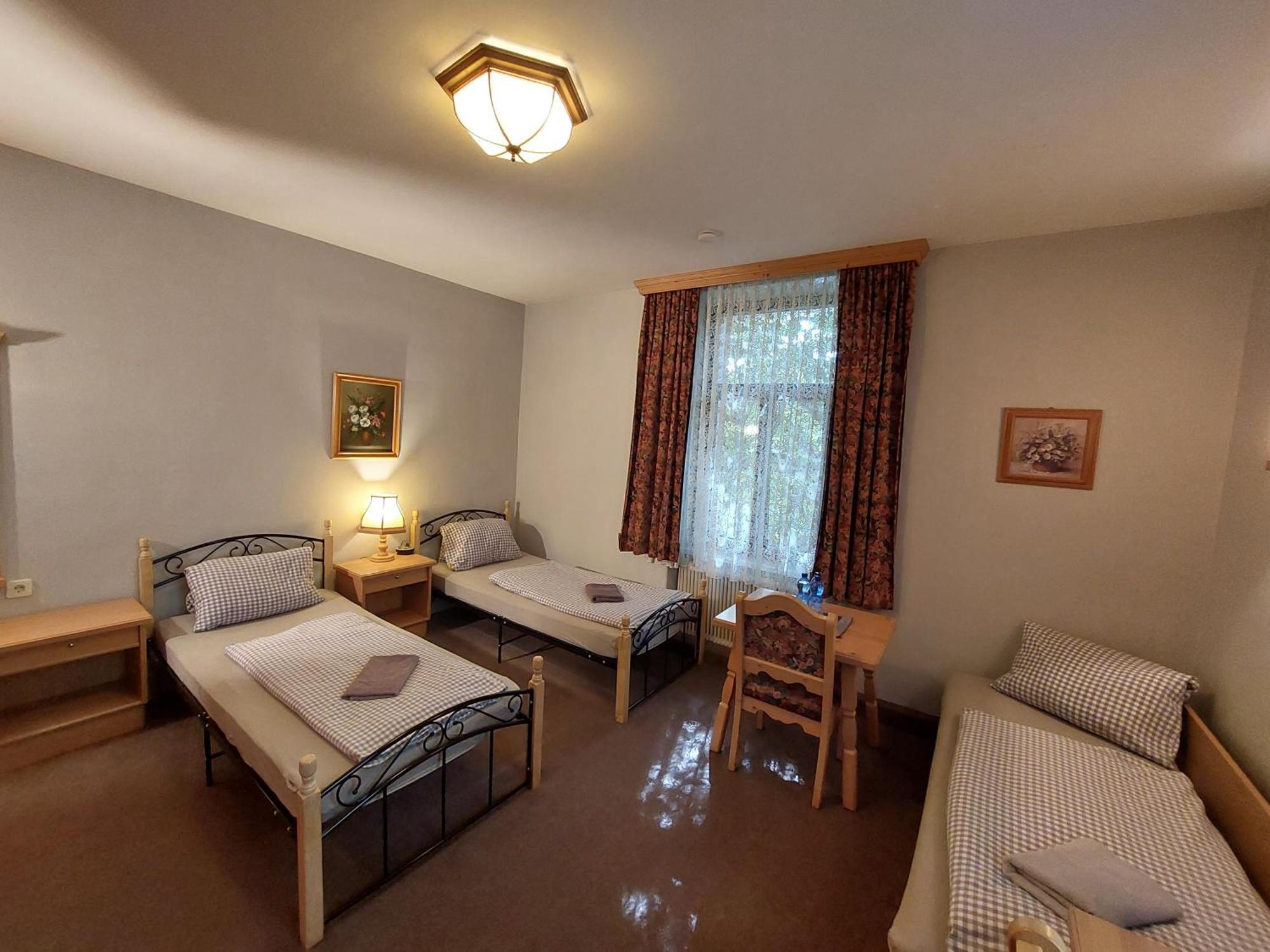 3 Raben - Leoben - Zimmer Fuer Geschaeftsreisende, Urlauber, Monteure Und Handwerker, Polski Pensjonat Austria Экстерьер фото