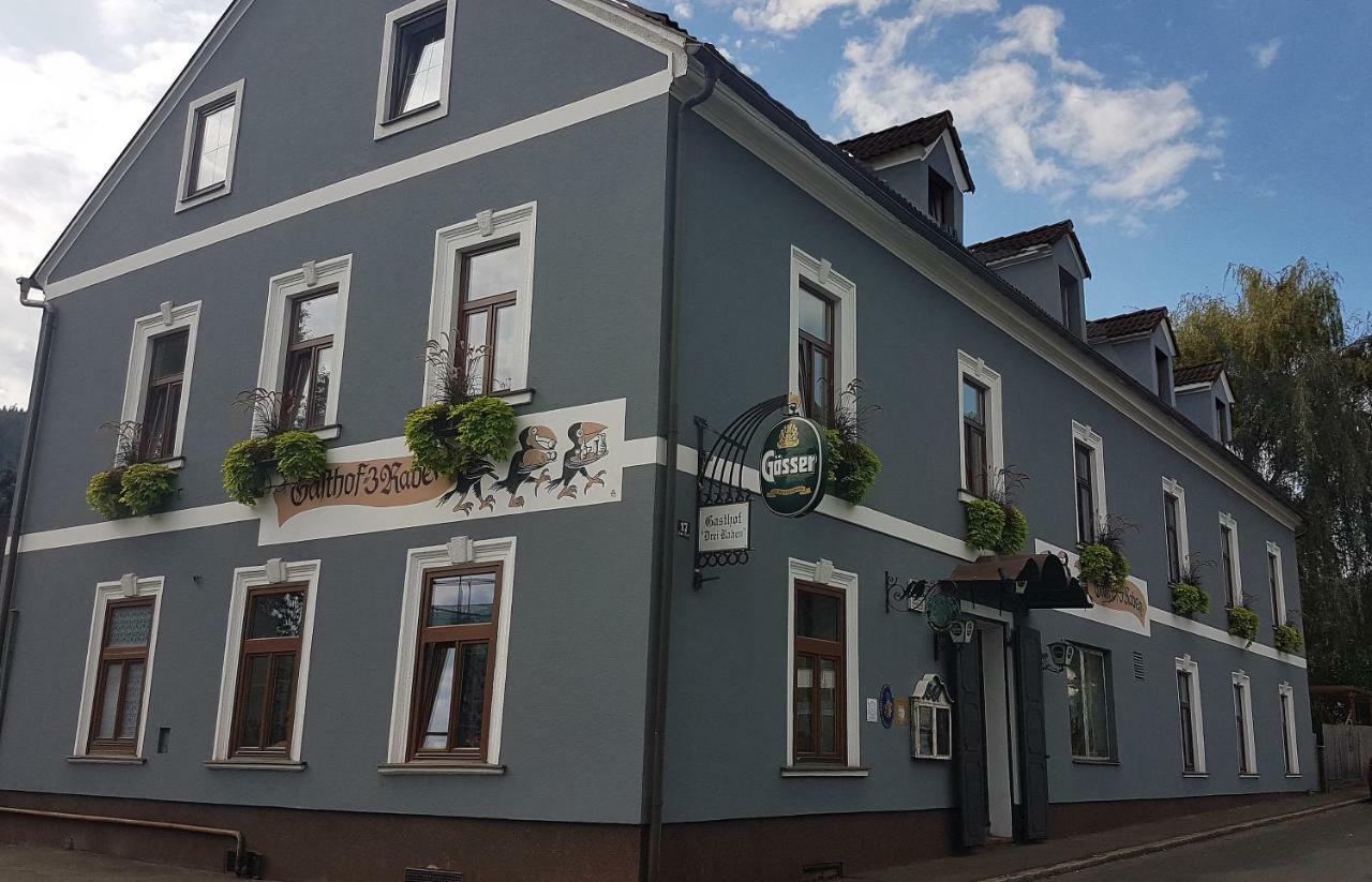 3 Raben - Leoben - Zimmer Fuer Geschaeftsreisende, Urlauber, Monteure Und Handwerker, Polski Pensjonat Austria Экстерьер фото